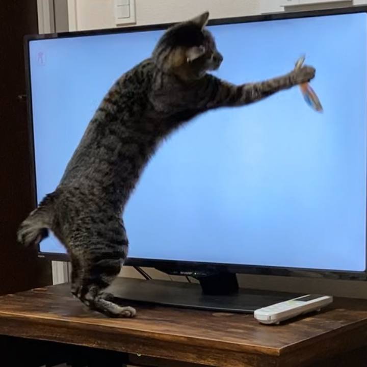 5d0a4dbe b7c4 4e85 ab96 04bbd15e54a0 1616205644646