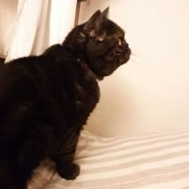 5d0a57a4 1eba 4466 86ea 35b520e2d8e2 1510136888611