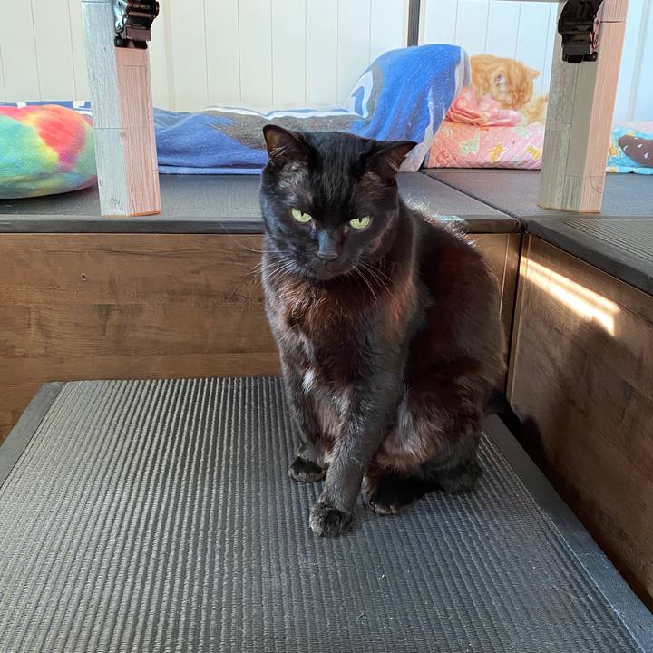 5d0a957b 2992 4d35 b84e 35e4b5bfdd53 1576808972555