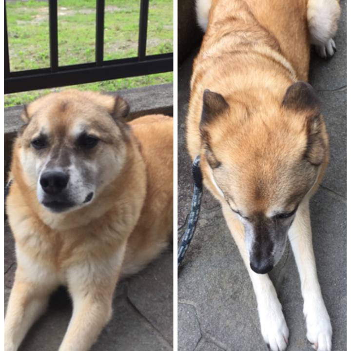 5d0a9f6c b227 4c83 b4d4 91b127e5b24c 1562715355467