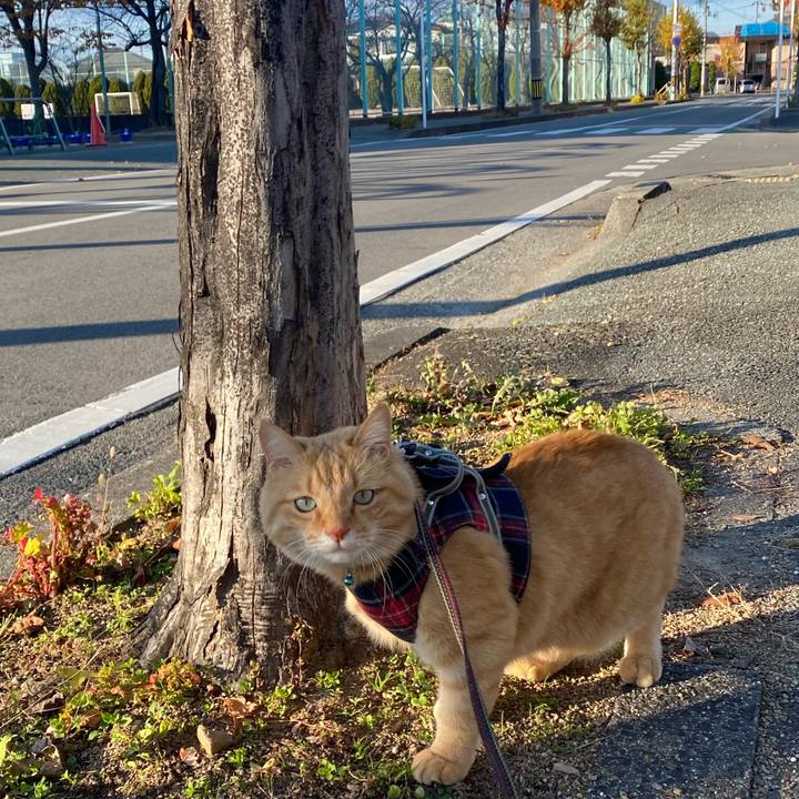 5d0ac5e1 898c 4005 9430 37471544f0c9 1636883693145