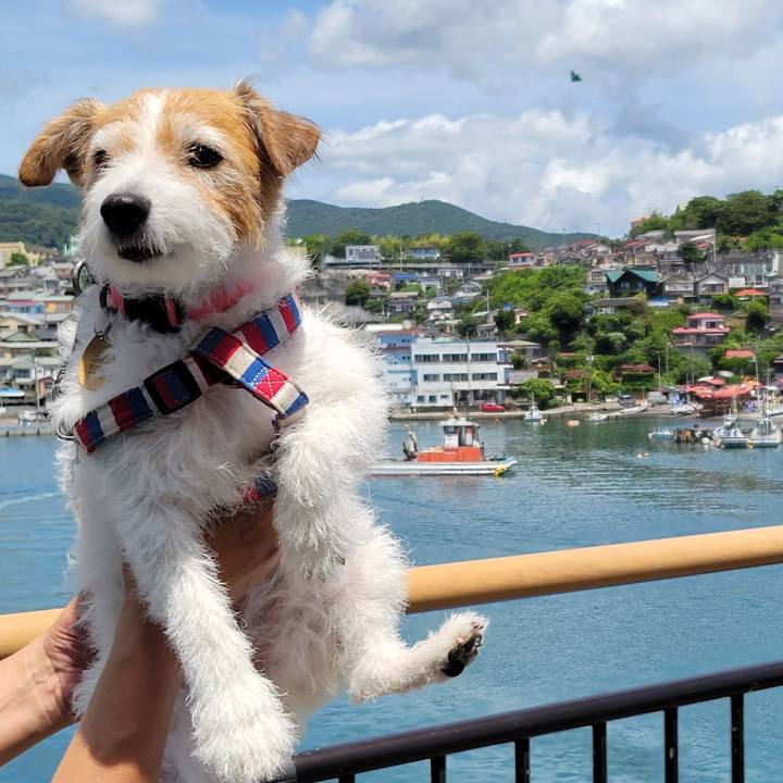 5d0acd41 8fc3 4d57 8233 b674e03fac72 1752902250375