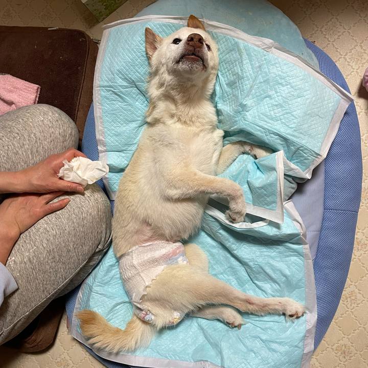 5d0adc88 408e 421f b909 e385e53ded2f 1677881729796