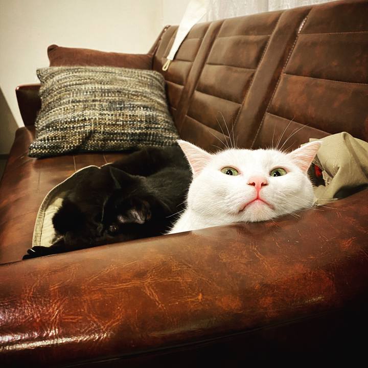 5d0b01e8 9449 4206 a1c0 83842408943e 1611496081403