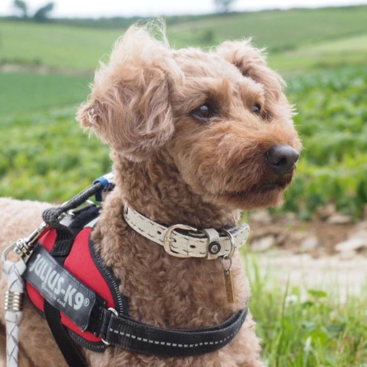 5d0b2ea2 67c3 4902 aea5 8b429c09b483 1563021432768