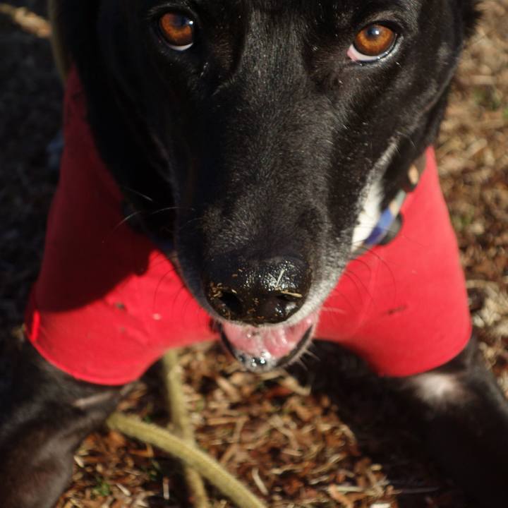 5d0b4660 ceba 4ff3 b681 5dcf64d92739 1646011017375