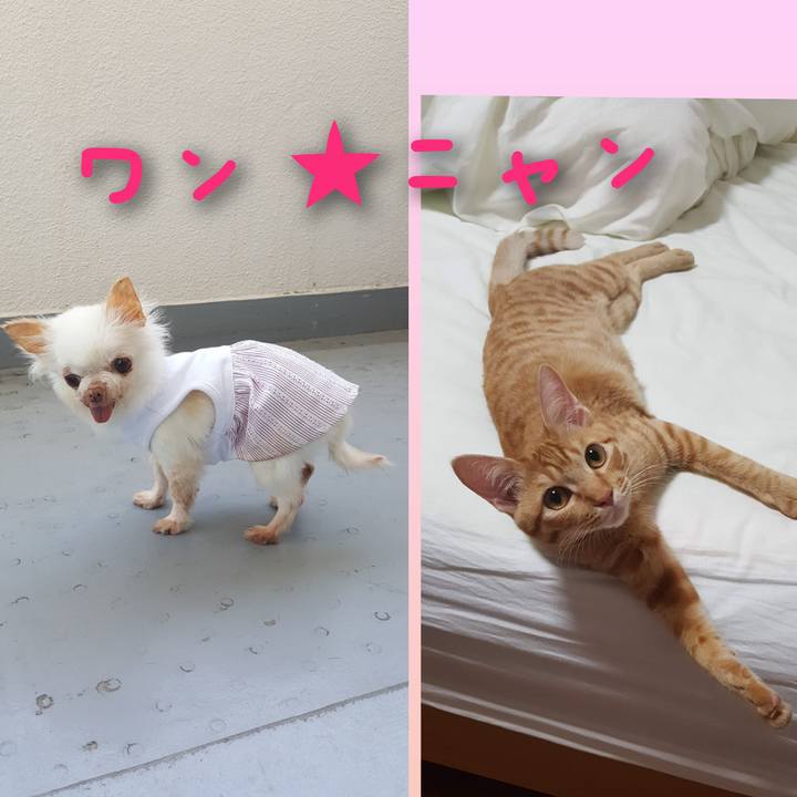 5d0b4c37 9b0d 4fff a3dd a3fe7372e376 1702376937279