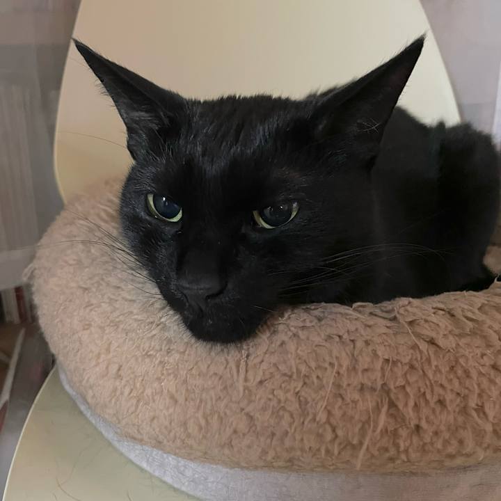 5d0b5bfe 09e4 48fe 9b43 8abf880030c6 1652617064090