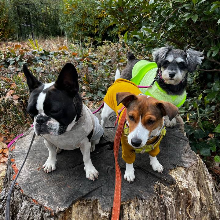 5d0b6d92 b2a2 4667 97d3 e75282ee80ed 1735642638492