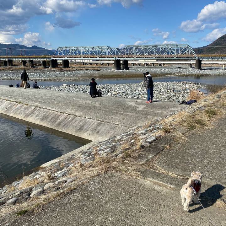 5d0b93e8 fa07 46ae 895b 9d9582882d09 1640853399120