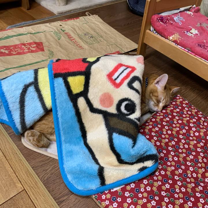 5d0bf17f 9b34 4a1f 9b81 855e34e8d95d 1609324357895