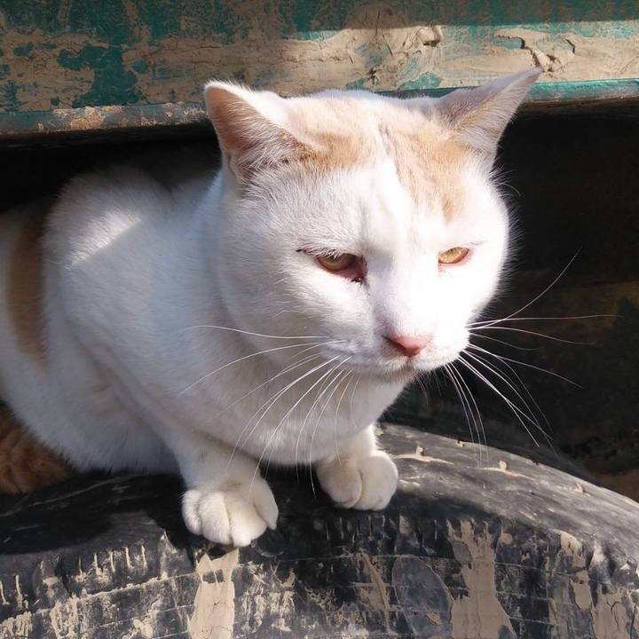 5d0c51fd c8af 4db0 aadb fdd57a0c0848 1580776232462