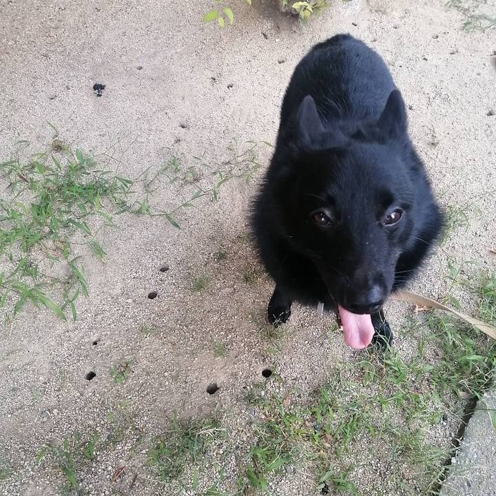 5d0c77e3 058f 4e11 b34a 92997c2a5871 1626903069230