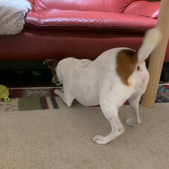 5d0c8a67 08a2 4985 86a1 8ef415b183f7 1542284320349