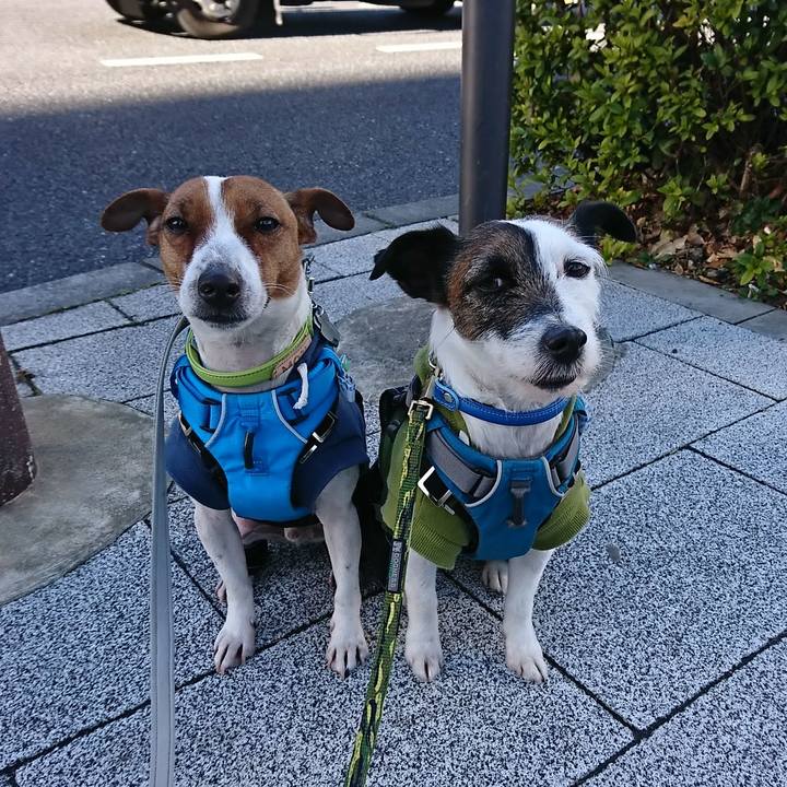 5d0c94ec cf31 4a68 82ad dbf657d42b16 1549931967147