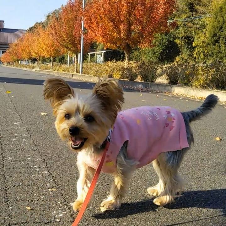 5d0cace9 8776 4187 a31b d6cdeab0b315 1637400886426