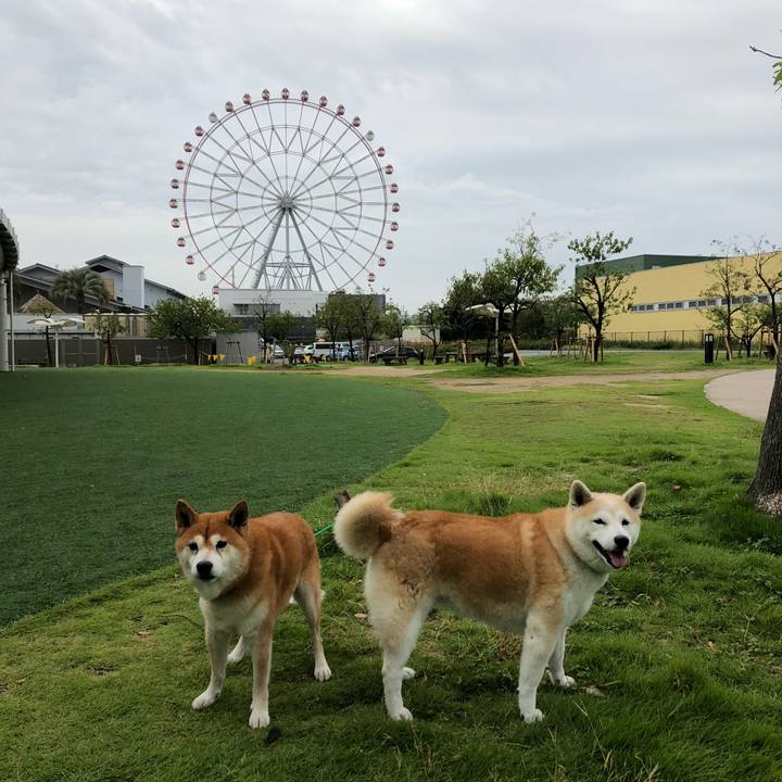 5d0cc36e 98ac 4ac5 8c9c 1b15e7fdc31d 1537841469087