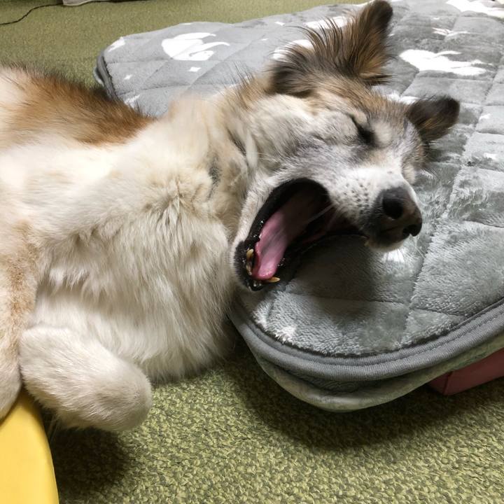 5d0d80f6 bd4e 4e3c 84ba 9103497f3d87 1543538843534