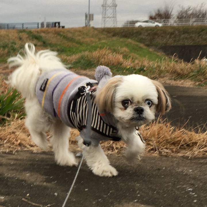 5d0db0b8 659f 4cf4 a534 5f161a469a88 1576912047034