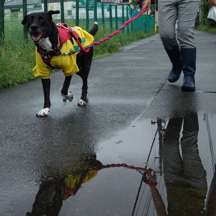 5d0dbc96 9cde 490e 802c 167446ca3757 1628898894191