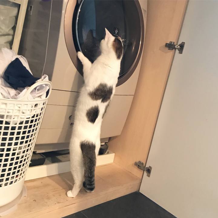 5d0e25ae d546 4101 9778 b6cc0b653984 1511077474173