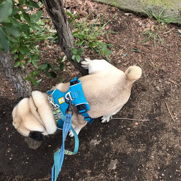 5d0e2e00 f5c7 410f 8388 a6542eae2b68 1584444716517