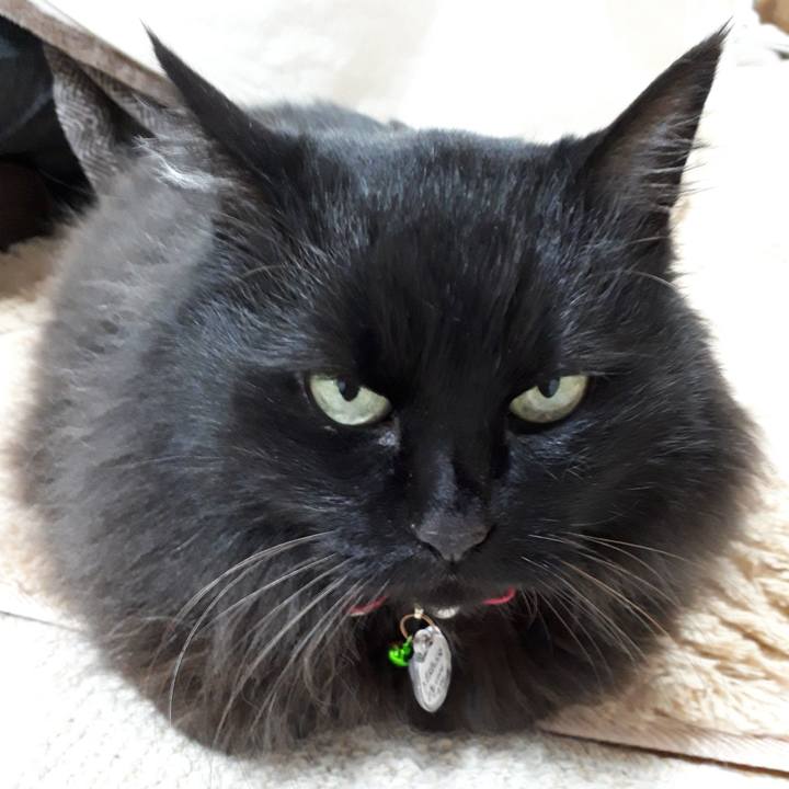 5d0e44f6 a56f 4a65 9e55 8ad8cfde7659 1523187163609