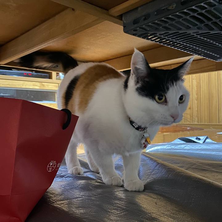 5d0ec06b 91fa 4bd7 948e f8242da5ea74 1647524689662