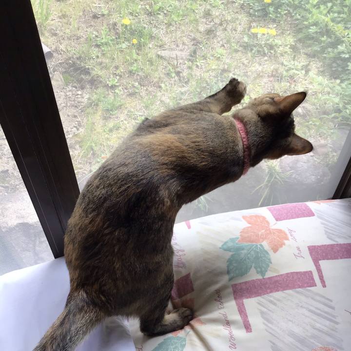 5d0ed098 f940 4a23 b983 1ce1fa4a16cb 1586054492908