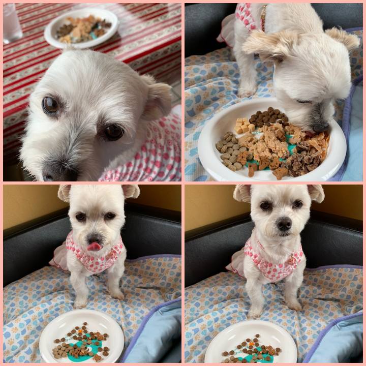 5d0efd07 ef29 4f17 9ea0 cca9d851d7a7 1591417140845