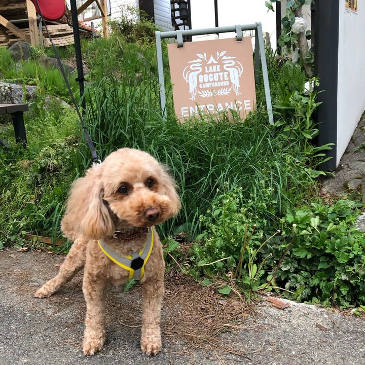 5d0f10b4 556e 4e3b b15f ce940e226b14 1772114322298