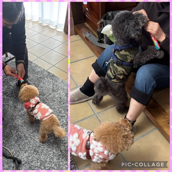 5d0f4e7c 090a 4a60 b730 166a1e8c2d35 1763992584384