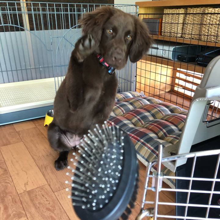 5d0f6bb3 a53f 4452 85c0 f788afd5a054 1557288373256