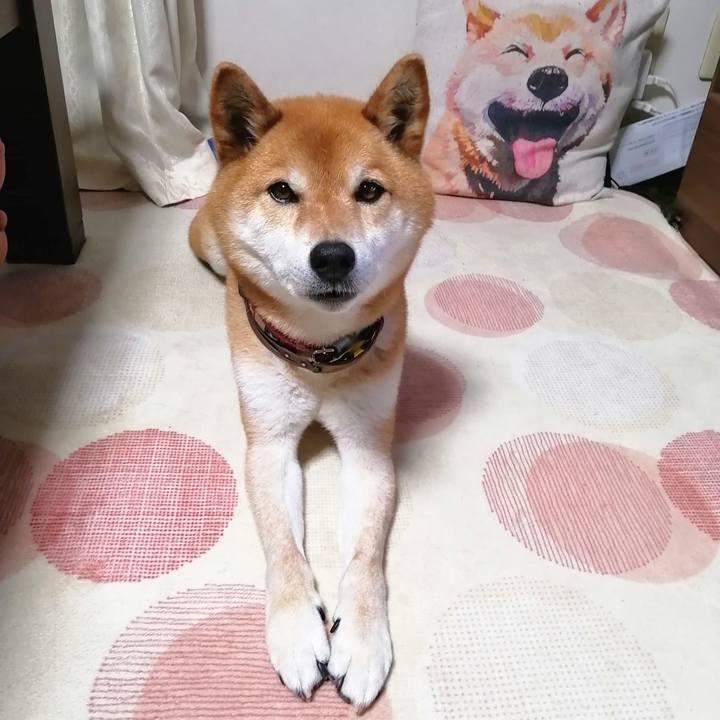 5d0f9740 bfcd 4972 a561 443dc5a852e2 1652442795621