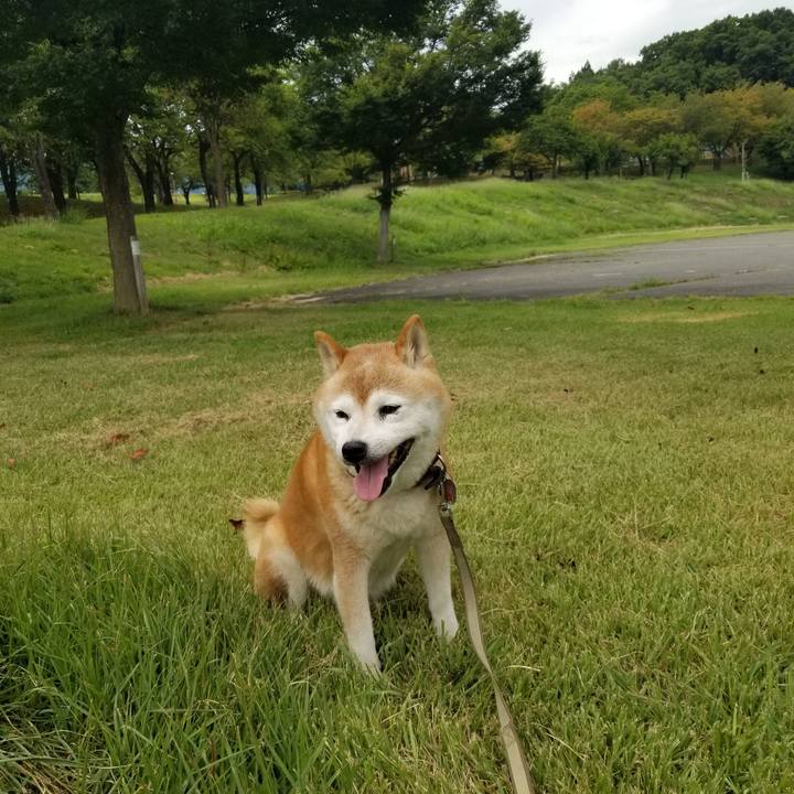 5d0fa345 3718 41a7 846b 4bee2dabdfd3 1693381895408