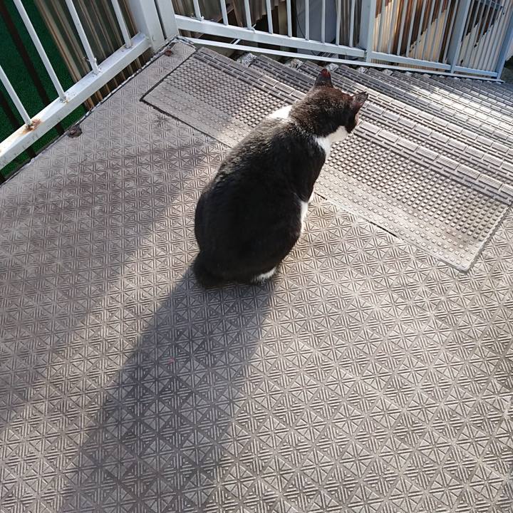 5d0face5 df14 4ff8 8f43 1761575eb5f7 1598477865508