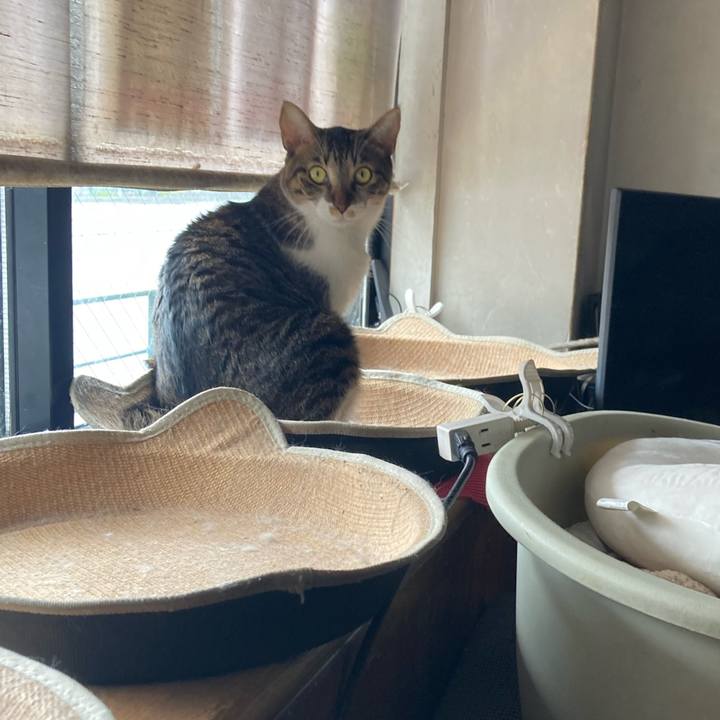 5d0ff0be 2661 48f3 9472 fdd5fedb7856 1757213708788