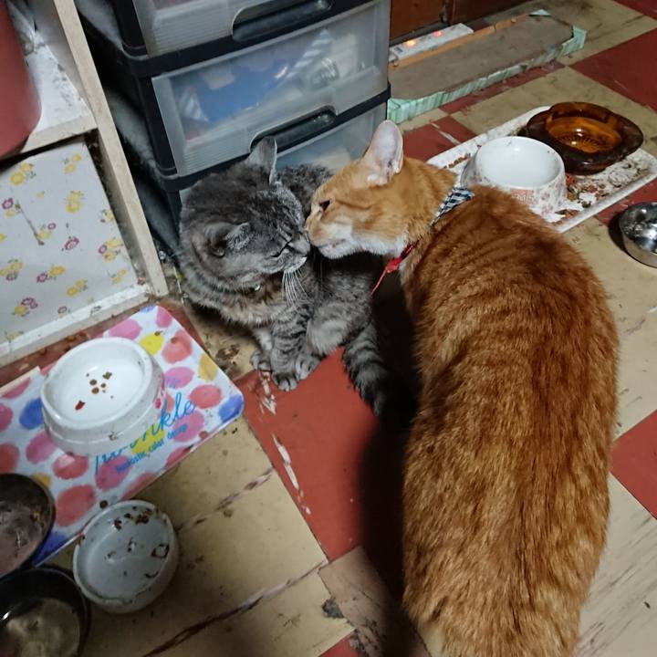 5d1007b3 9cf5 41cf 9e97 a99b8de3c906 1571255517354