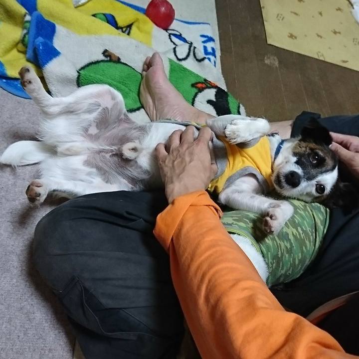 5d106a30 8bfa 4867 89b1 487160375097 1589108463674