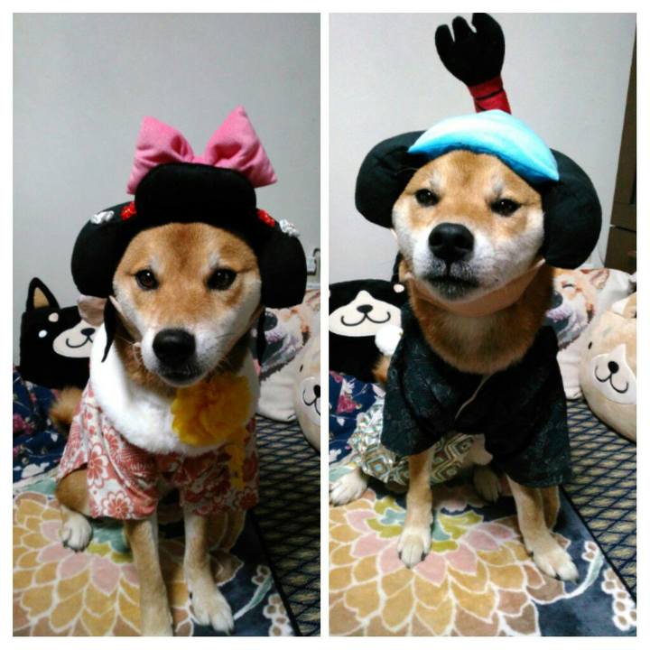 5d106cf3 5992 4684 acbb 31d41a3c8dee 1512043003493