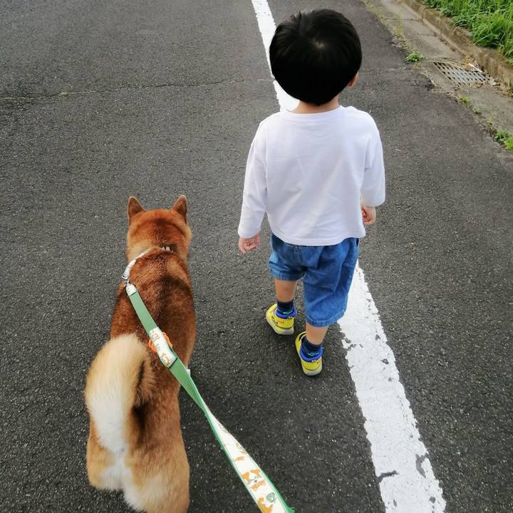 5d109892 51c6 4cdc ac2c 47bd67abb07e 1632750605422