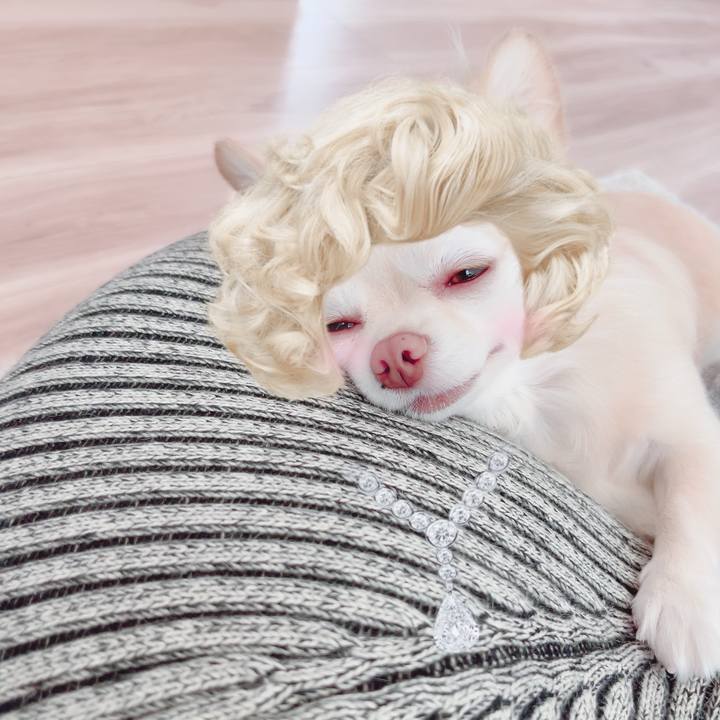 5d10ba88 c6e1 46c0 a63e 505d6947f7bd 1693996486391