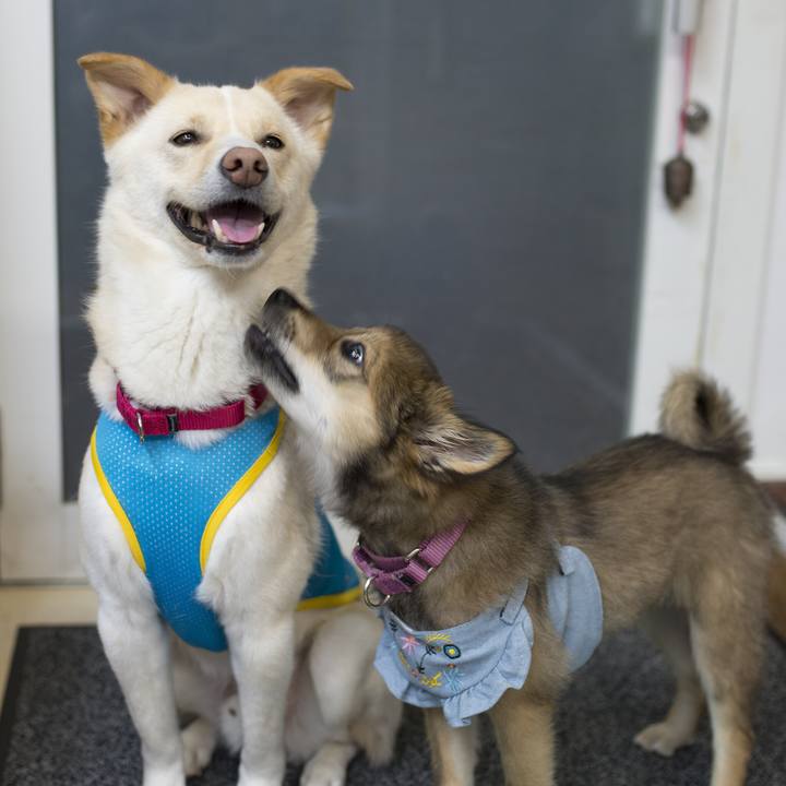 5d10bbc8 2cb6 4a14 aa36 db635578694c 1525522078660