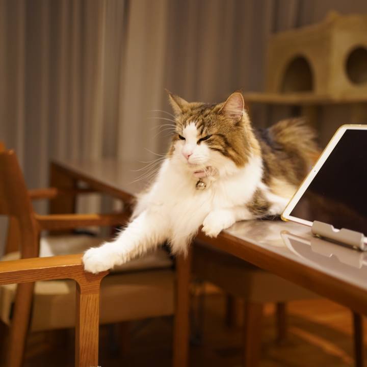 5d10c5d5 859f 4703 9101 3eddf75e7476 1630245355784