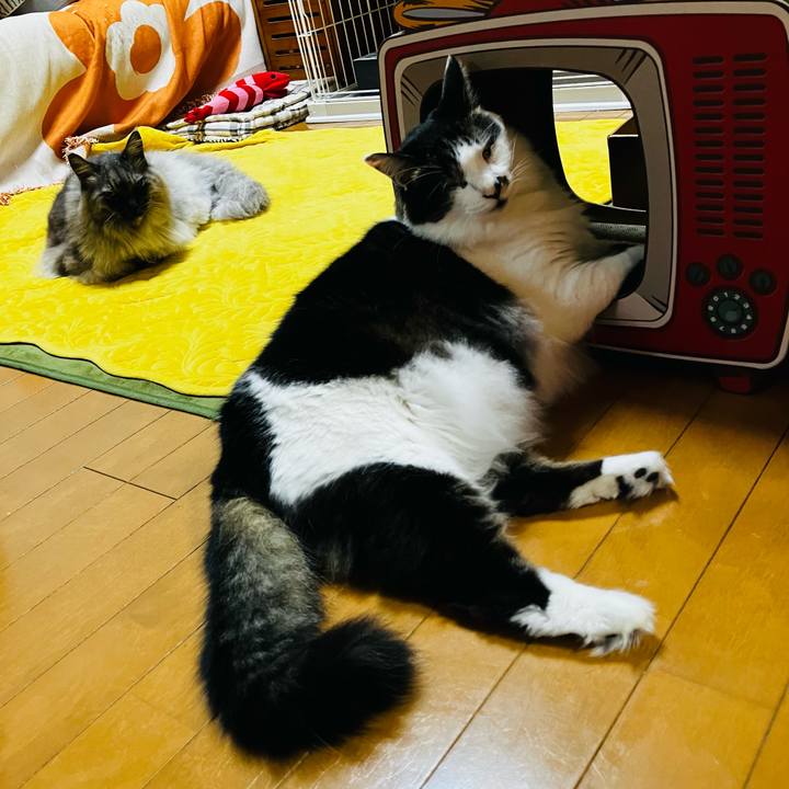 5d113270 9cf6 4934 b504 480d91d48fc6 1739191432117