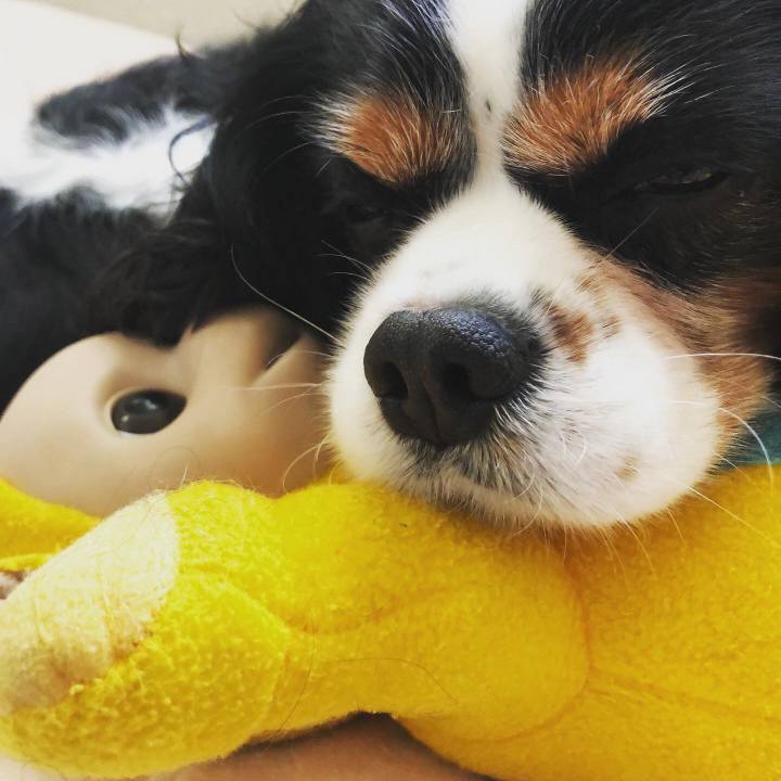 5d1160cd b9ce 4f46 853d 392cecca9377 1572691362460