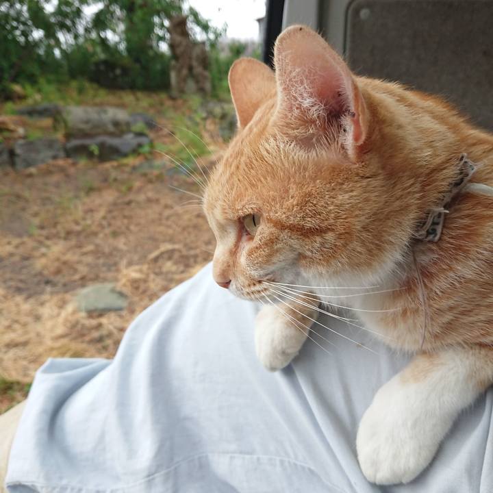 5d116851 c4d2 40c4 8209 c1a99c2f0282 1592122163398