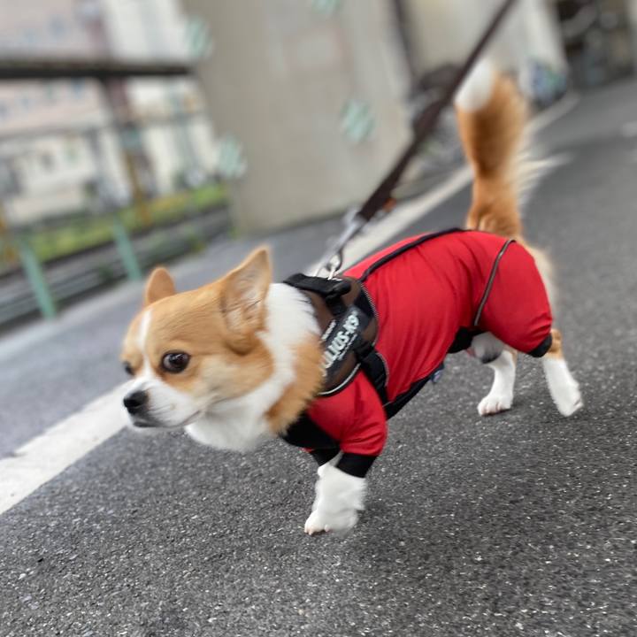 5d12133f ad9b 45c9 8ae0 e903765e357c 1594779152130