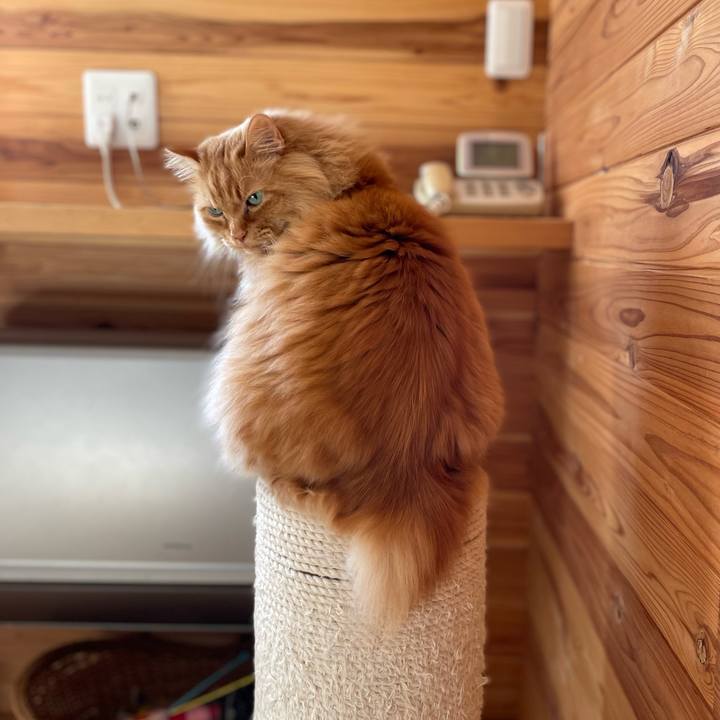 5d1233e2 c403 43e7 a55e 4a48d421ebdf 1678833880820