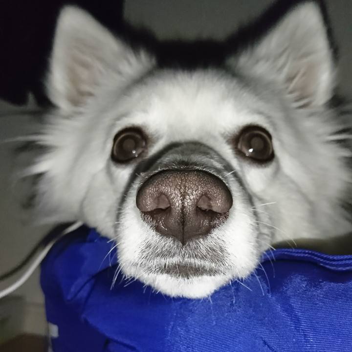 5d1246a8 0f36 48d6 88f1 cb9b24c8dd2a 1516117208949